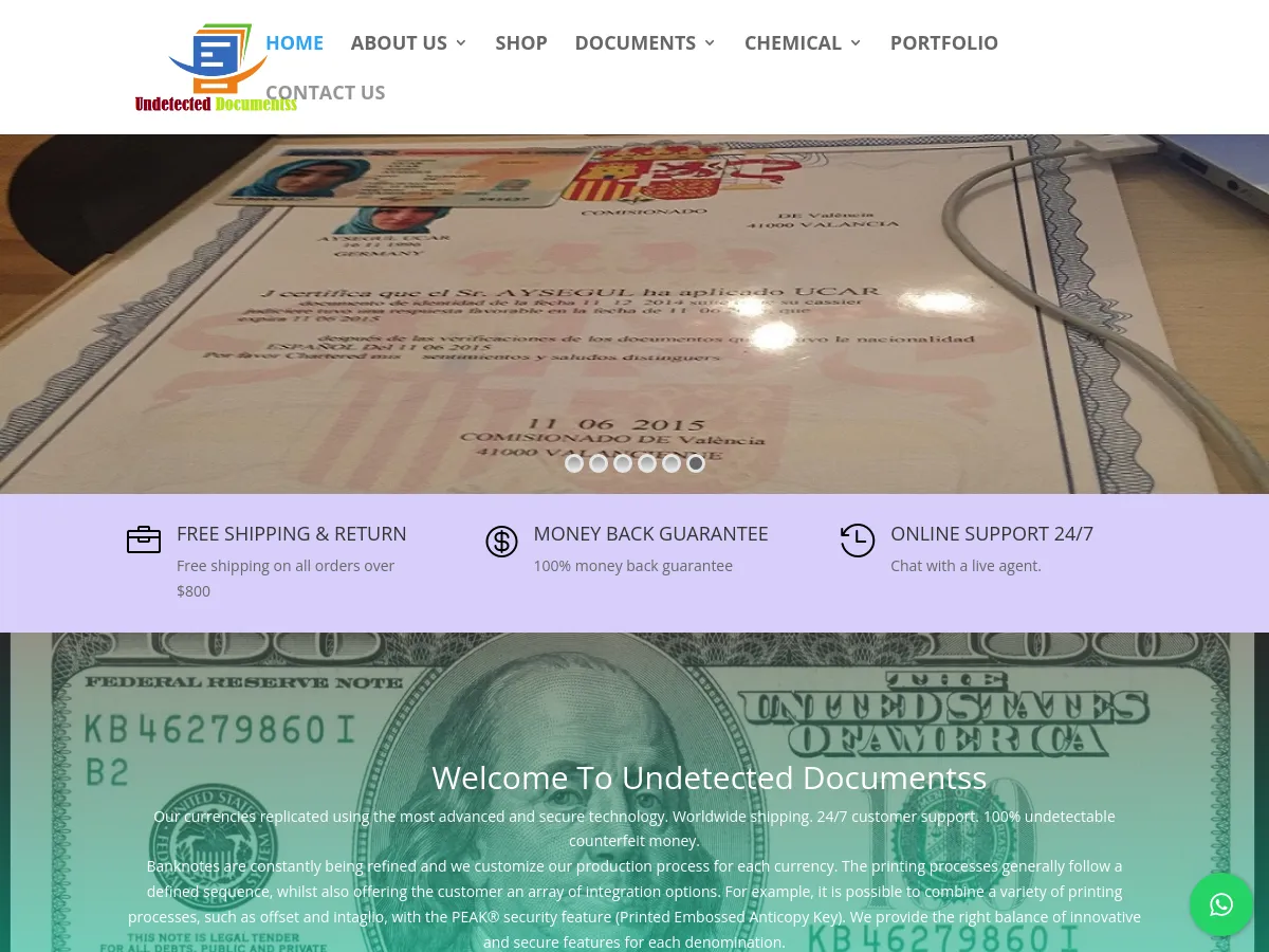 undetecteddocumentss.com