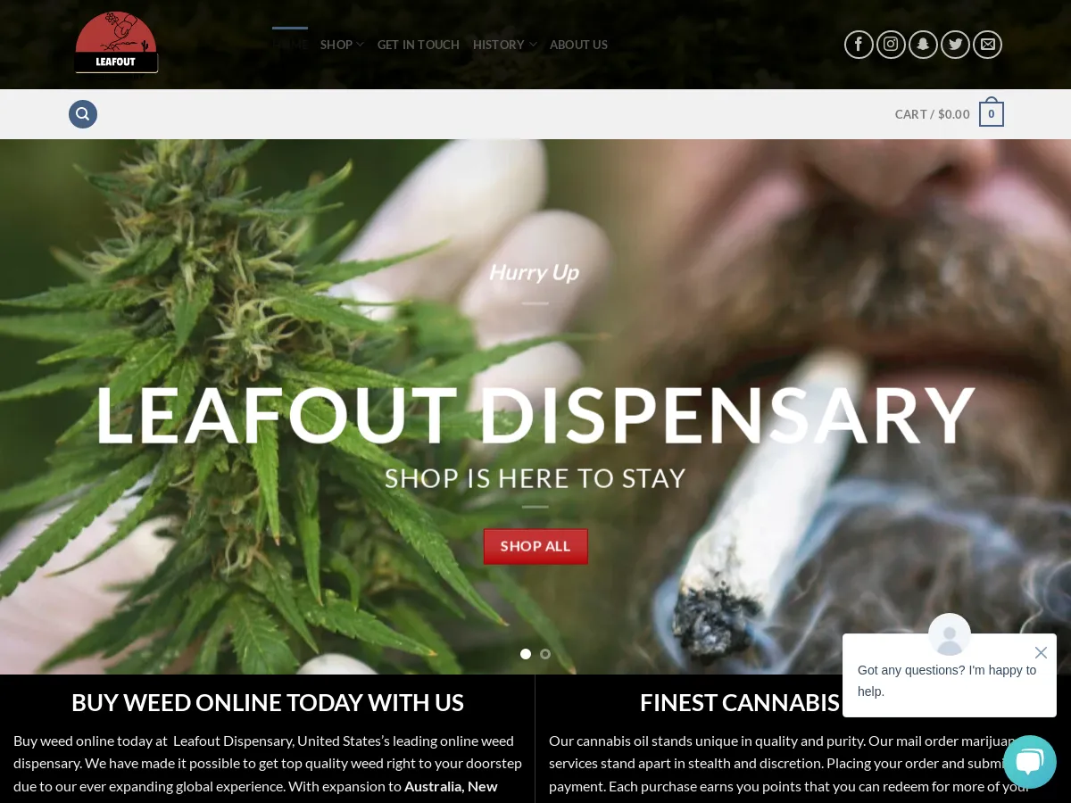 leafoutdispensary.com