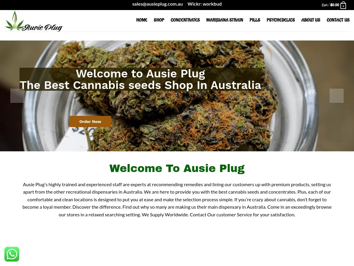 ausieplug.com.au