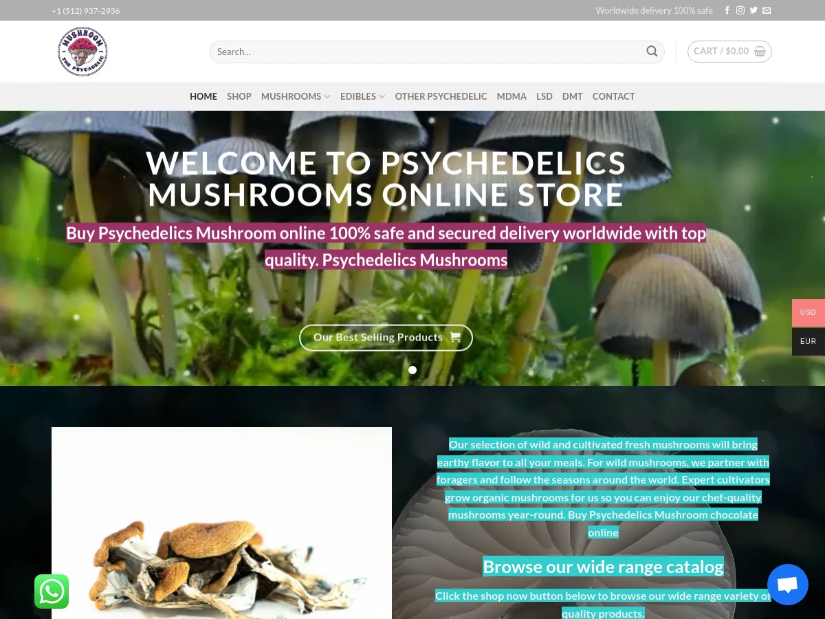 thepsychedelicsmushroom.com