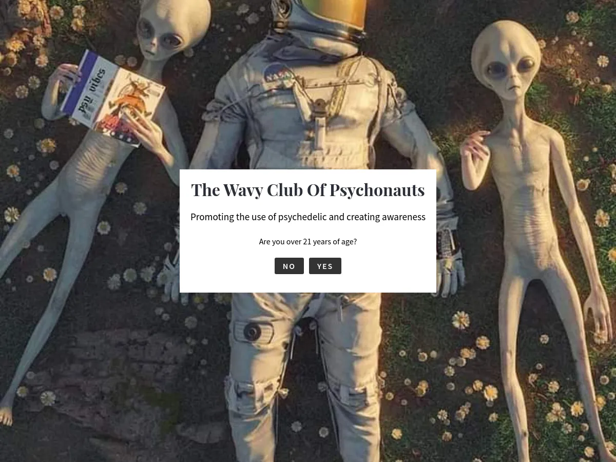 thepsychesoultripclub.com