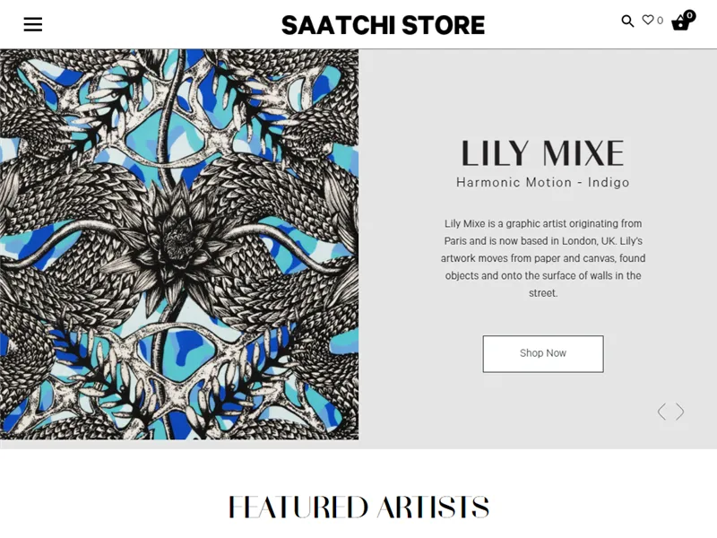 Saatchistore.com